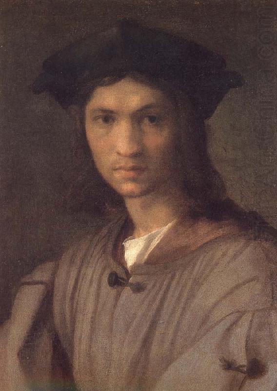 Andrea del Sarto Man portrait china oil painting image